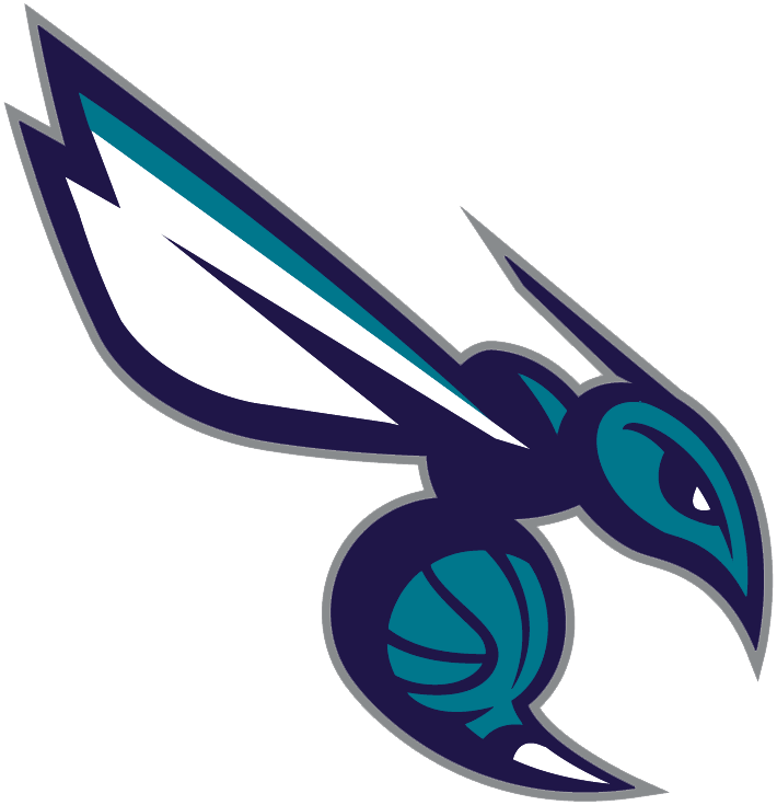 Charlotte Hornets 2014-Pres Alternate Logo t shirts DIY iron ons v4